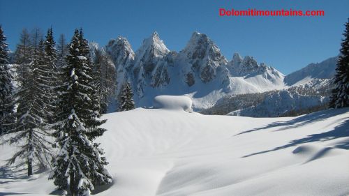 roof covered by snow