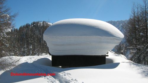 mushroom of snow