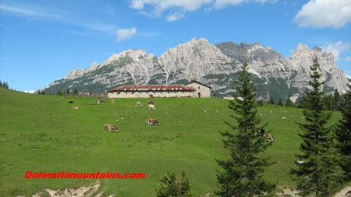 casera vedorcia