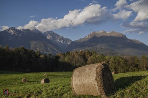 bales of hay