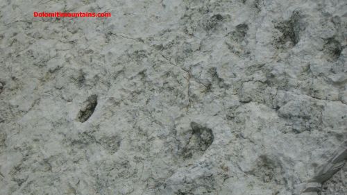 geology of dolomites dinosaur footprints