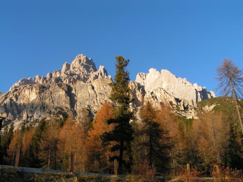 cortina9