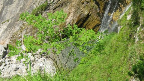 nature on the road fo the refuge