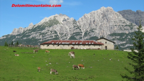 casera vedorcia and montanel