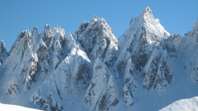 spalti di toro in winter